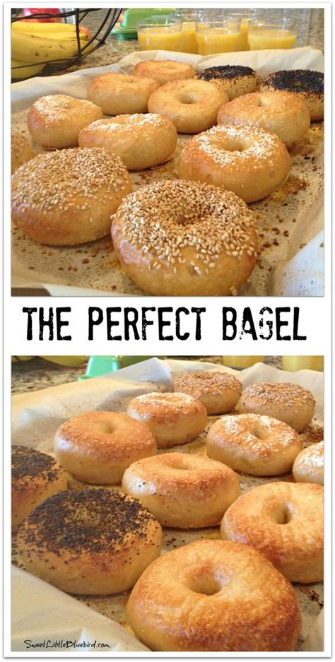 peter reinhart bagels|peter reinhart bagel recipe.